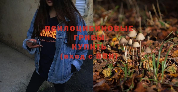молекула духа Баксан