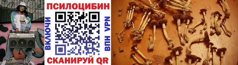 Псилоцибиновые грибы ЛСД  Курчалой 