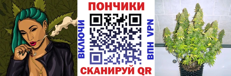 Бошки марихуана Amnesia  даркнет сайт  Курчалой 